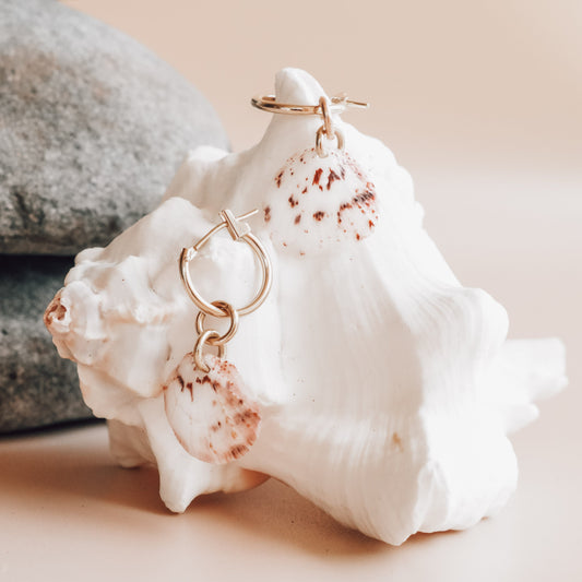 14K CLAM SHELL HUGGIES