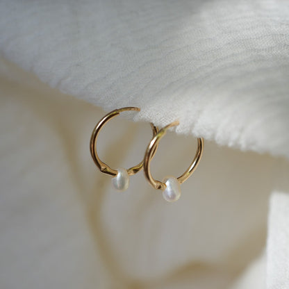 FRESHWATER GOLD FILLED EARRINGS